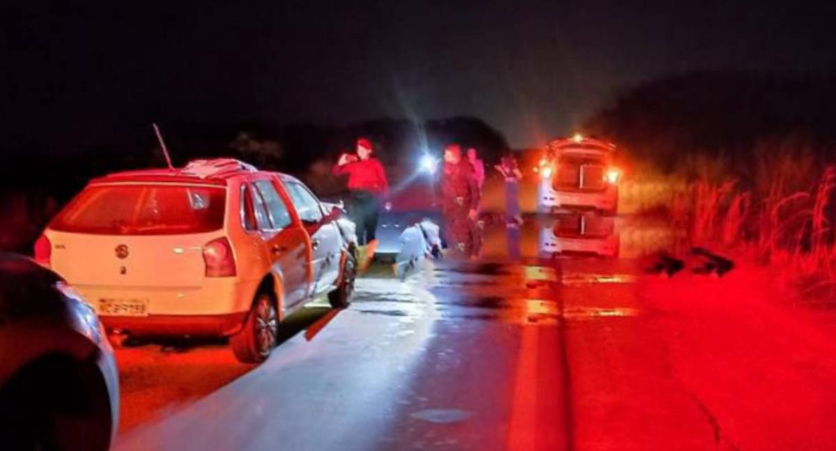 Veículo colide com bezerro em rodovia de Rolim de Moura