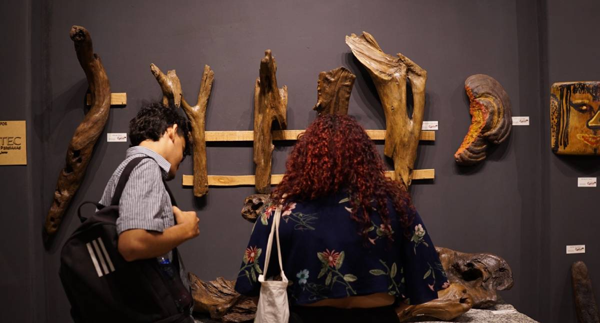 2ª Mostra Cujuba seleciona artistas e estagiários para residência “Arte e o Clima”