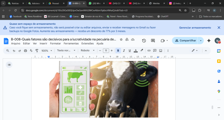 Quais fatores são decisivos para a lucratividade na pecuária de corte?