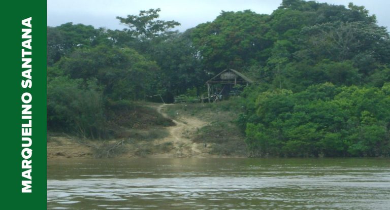 Da casa de taipa ao tapiri – poemas de uma grande marcha – II - Por Marquelino Santana - News Rondônia