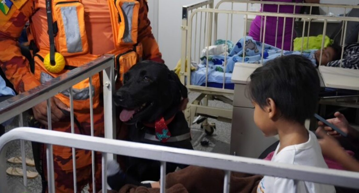 Alegria e carinho são levados a pacientes do Hospital Infantil Cosme e Damião por meio de Terapia Assistida por Animais