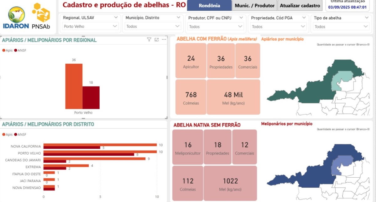 Apicultura e Meliponicultura fortalecem a agricultura familiar em Porto Velho