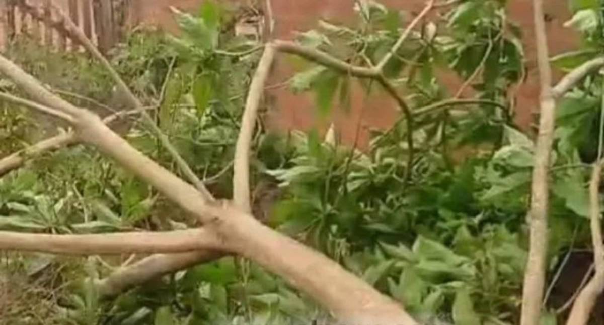 Após acidente doméstico, morador de Rondônia é internado na UTI