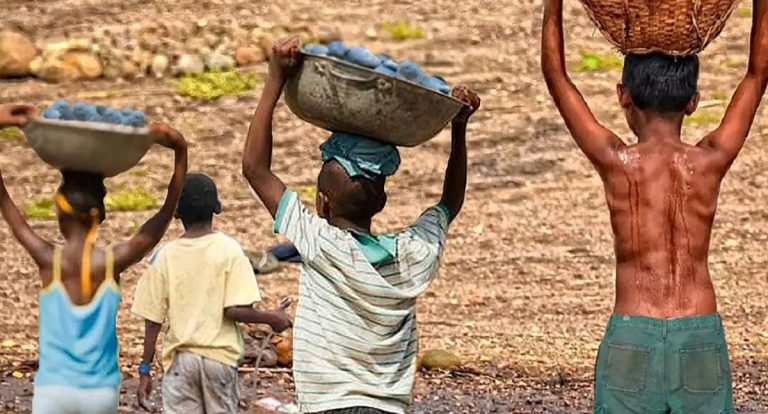 Brasil alcança menor índice de trabalho infantil de sua história