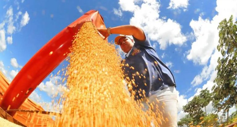 Brasil deve ter nova safra recorde de grãos