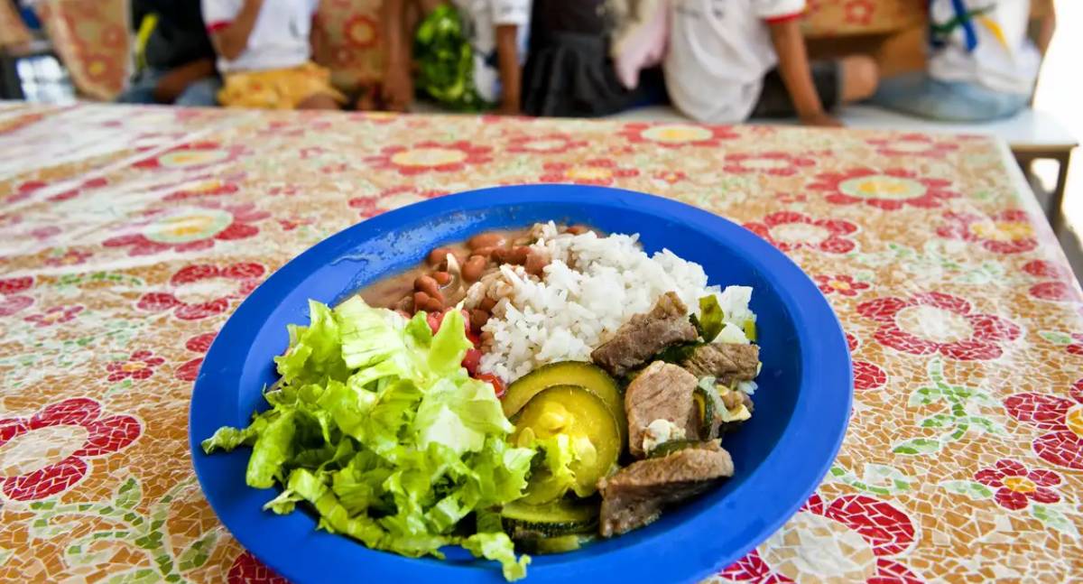 Câmara aprova PL para a compra de alimentos da merenda escolar