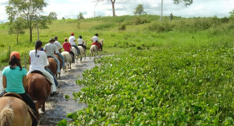 Turismo Rural: Cadastur garante novas oportunidades para agricultores rondonienses - News Rondônia
