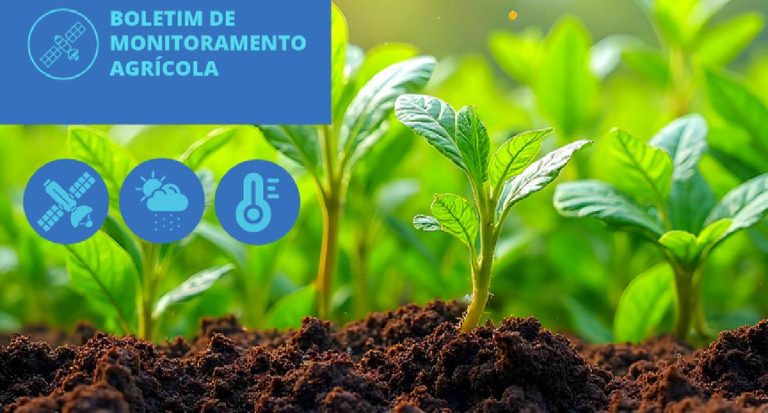 Chuvas favorecem cultivos de inverno na Região Sul, aponta Conab