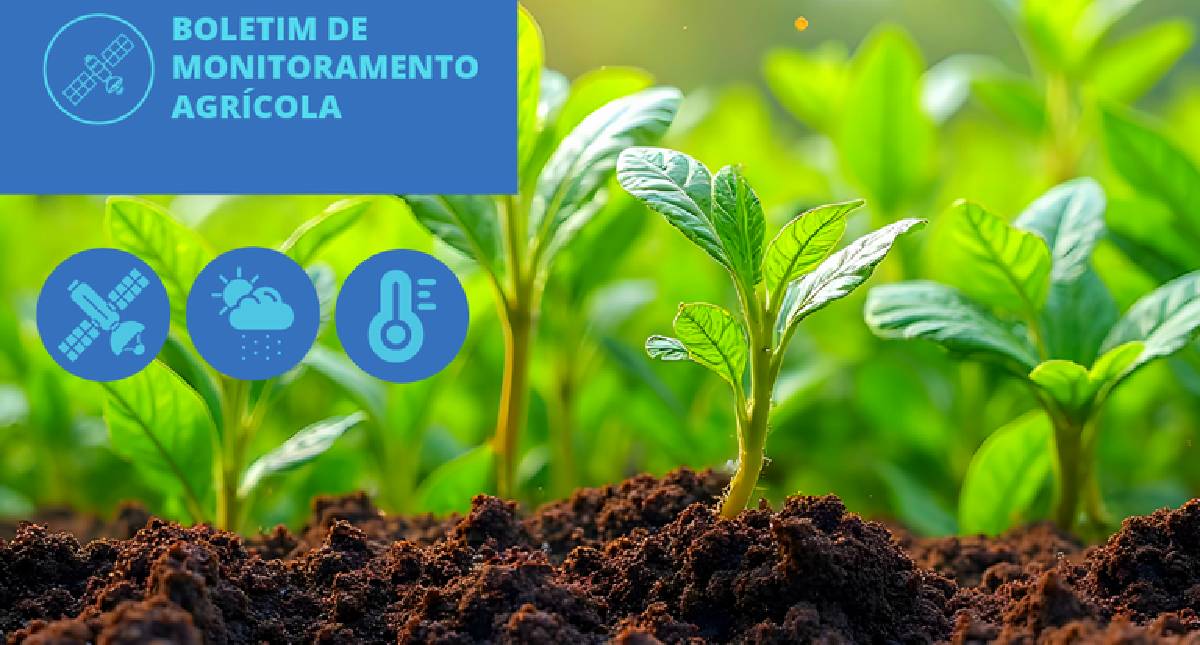 Chuvas favorecem cultivos de inverno na Região Sul, aponta Conab