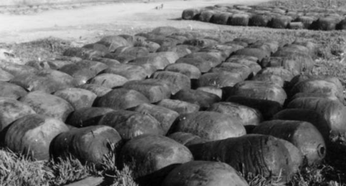Ciclos migratórios marcam a história de Porto Velho e moldam desenvolvimento do município