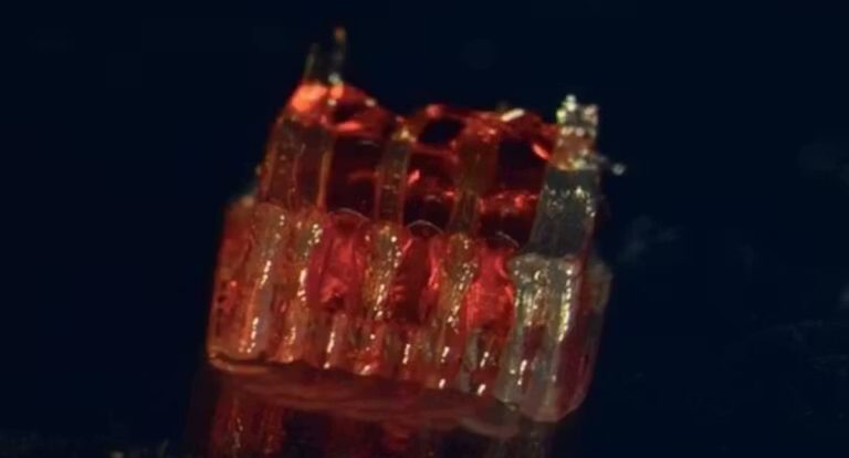 Cientistas conseguem recuperar medula espinhal lesionada com método inovador em 3D