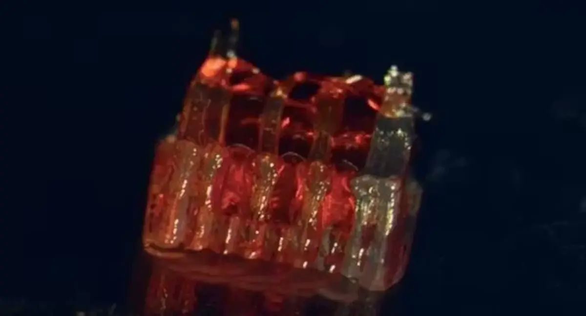 Cientistas conseguem recuperar medula espinhal lesionada com método inovador em 3D