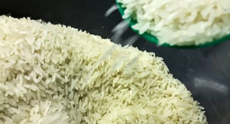 Conab destina R$ 300 milhões para produtores de arroz da safra 2025/26
