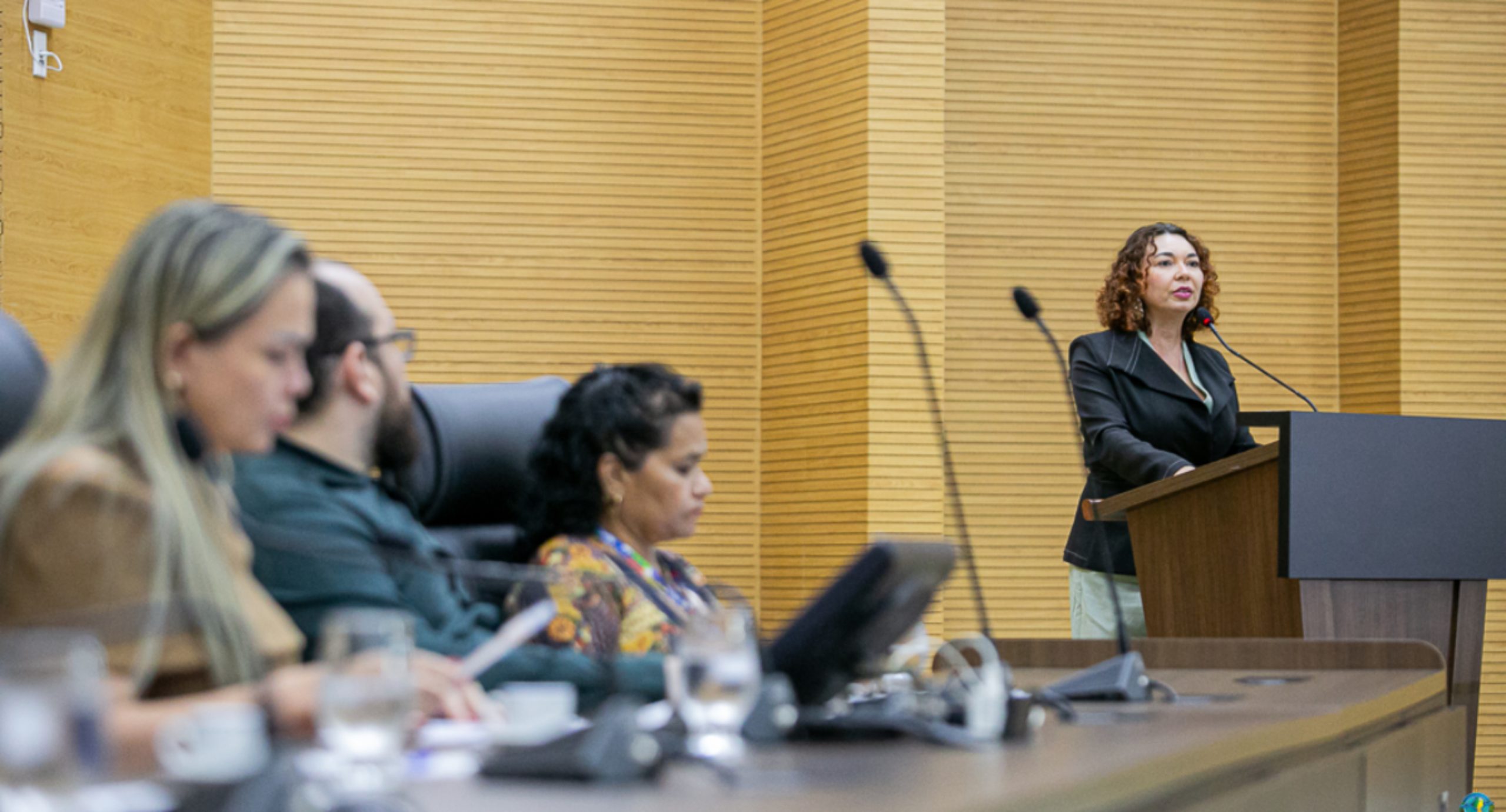 Cultura volta ao plenário da Assembleia e debate políticas públicas em Rondônia