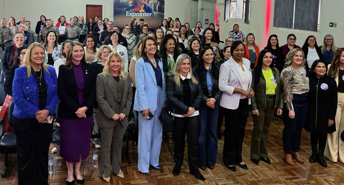 Deputada Gislaine Lebrinha participa de encontro nacional sobre enfrentamento à violência contra a mulher