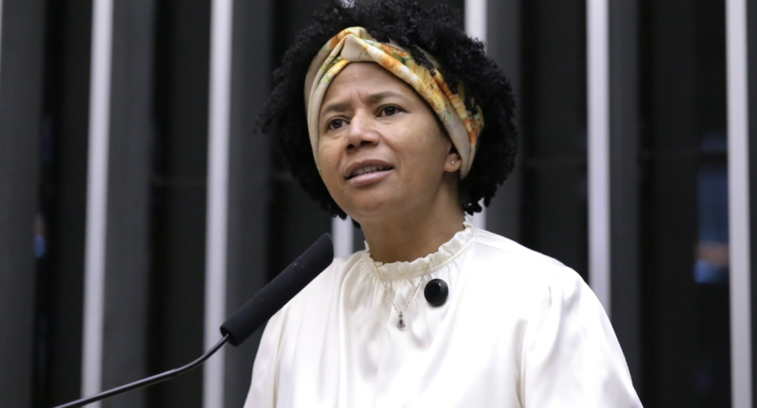 Deputada Sílvia Cristina cobra urgência na votação da PEC 47 da transposição