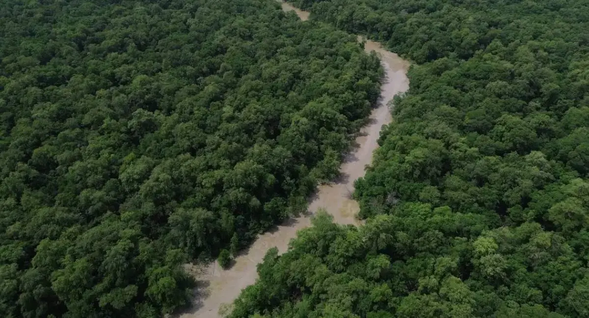Dia da Amazônia mobiliza para COP30 com foco em soberania