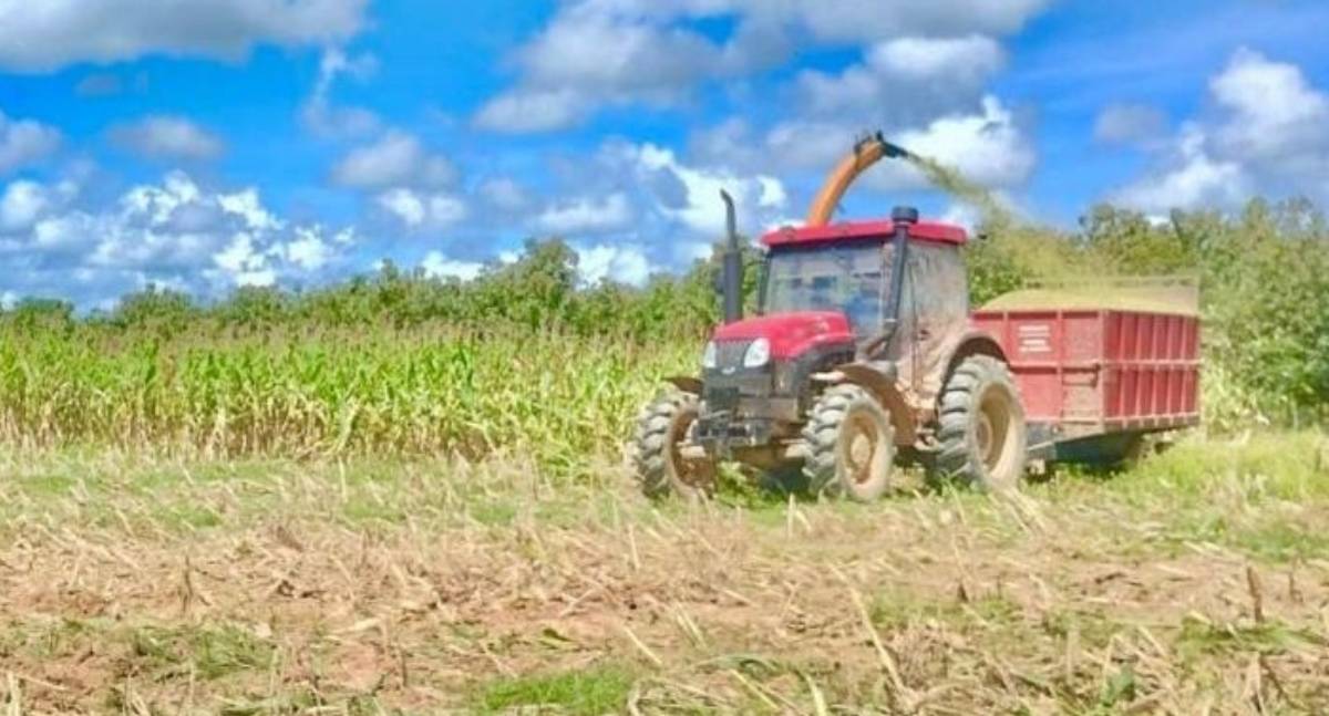 Emenda de Cláudia de Jesus garante trator a produtores rurais de Alvorada