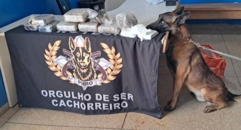Forças de segurança desarticulam membros do Comando Vermelho em Rondônia