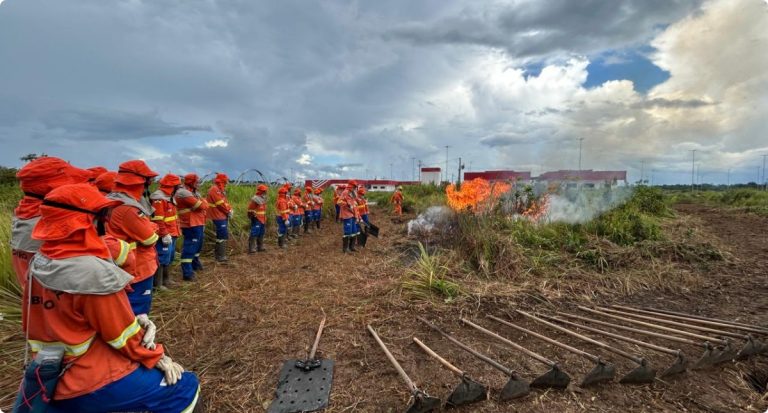 Governo de RO contrata agentes temporários para reforçar combate a incêndios florestais na estiagem de 2025 - News Rondônia