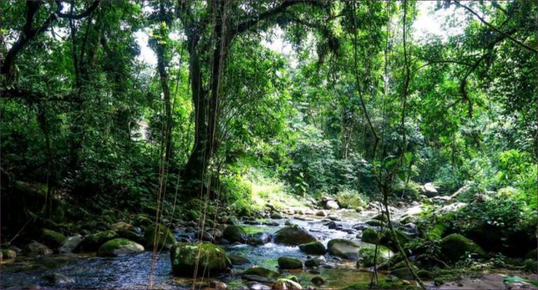 Governo lança programa para impulsionar turismo sustentável em áreas protegidas