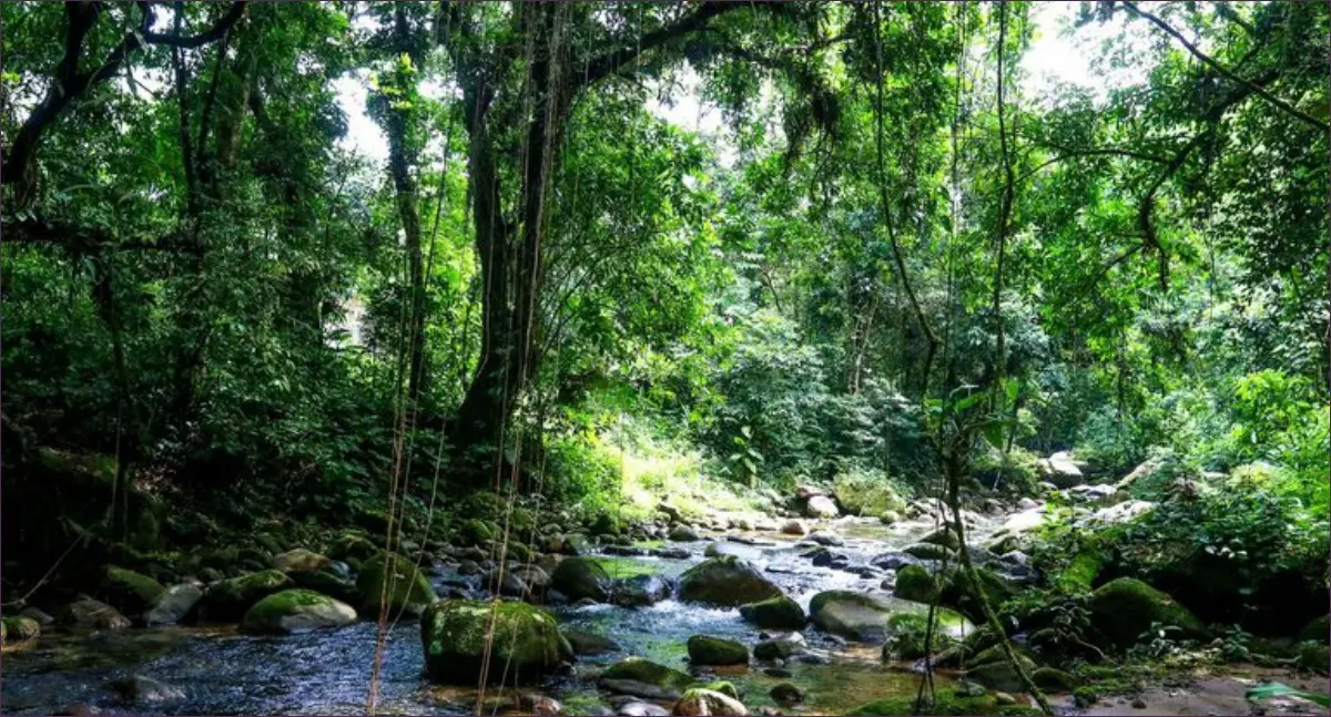 Governo lança programa para impulsionar turismo sustentável em áreas protegidas