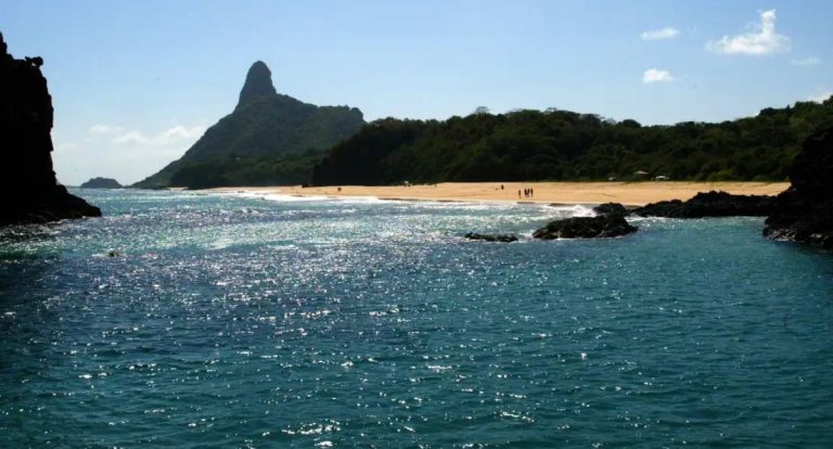 Ilhas brasileiras têm grande número de espécies exclusivas, diz estudo