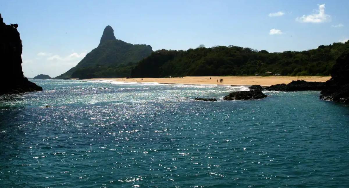 Ilhas brasileiras têm grande número de espécies exclusivas, diz estudo