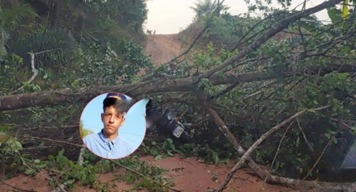 Jovem morre após bater em árvore caída em Rolim de Moura