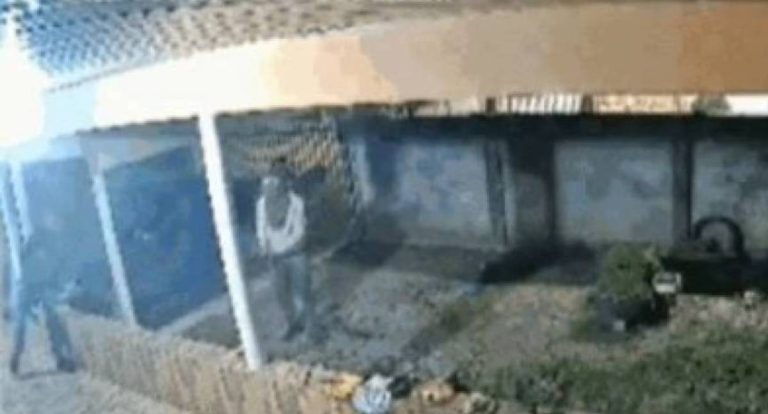 Membros de facção são presos por duplo homicídio