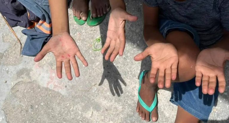 Número de crianças em situação de trabalho infantil de 5 a 9 anos cresce 22%