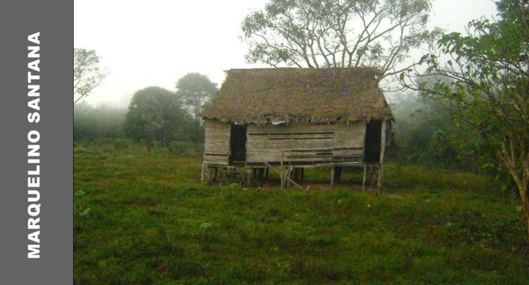 O abrigo mitológico da mata brasiviana – Parte II - News Rondônia