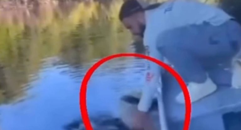 VÍDEO: Pescador tem peixe abocanhado por jacaré em flagrante na beira do rio