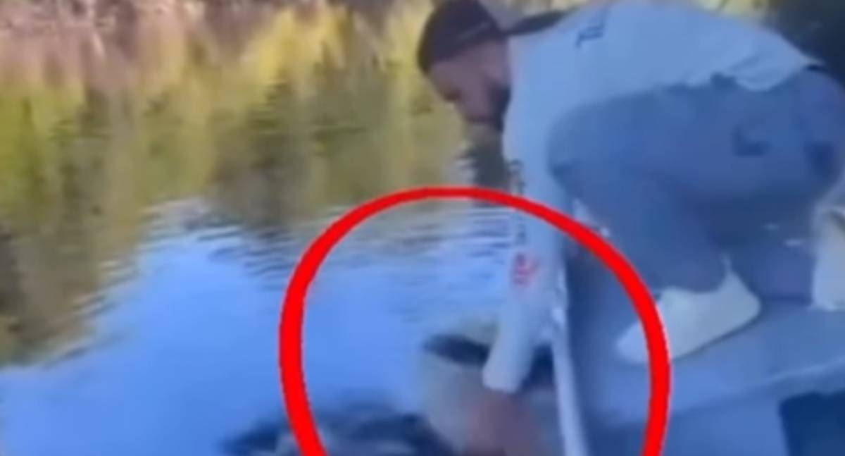VÍDEO: Pescador tem peixe abocanhado por jacaré em flagrante na beira do rio
