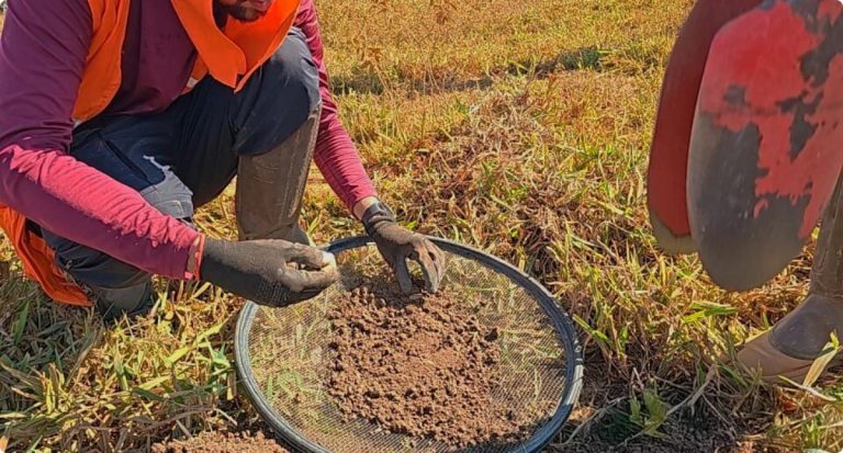 Pesquisas arqueológicas acompanham pavimentação da RO-420 para garantir preservação cultural - News Rondônia