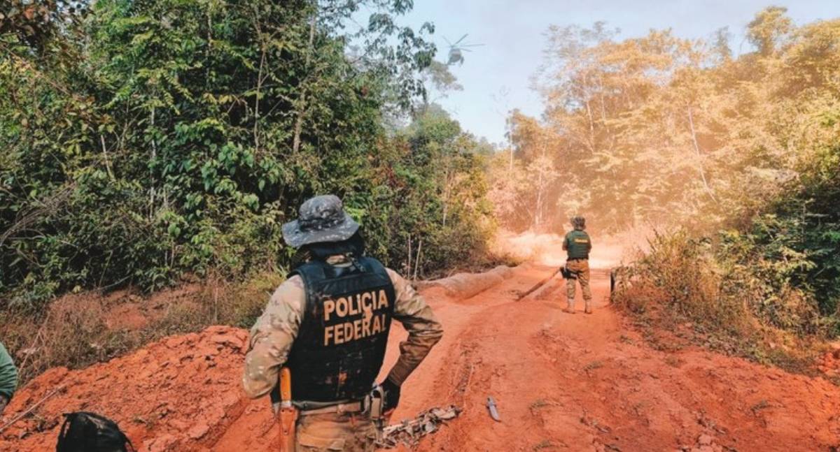 PF deflagra operação contra transporte ilegal de ouro em Rondônia