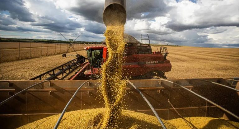 Preço de alimentos deve continuar a cair, diz ministro