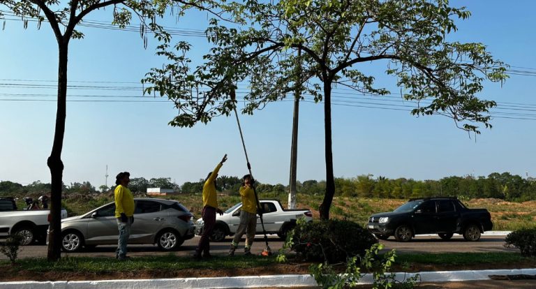 Prefeitura de Porto Velho realiza poda de árvores na avenida Imigrantes