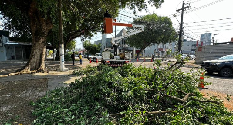 Prefeitura de Porto Velho realiza poda de árvores na Praça das Três Caixas D’Água para garantir segurança viária