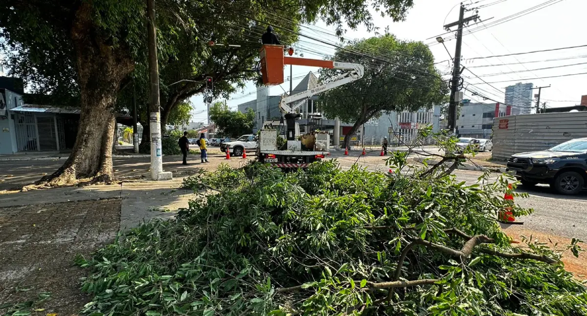 Prefeitura de Porto Velho realiza poda de árvores na Praça das Três Caixas D’Água para garantir segurança viária
