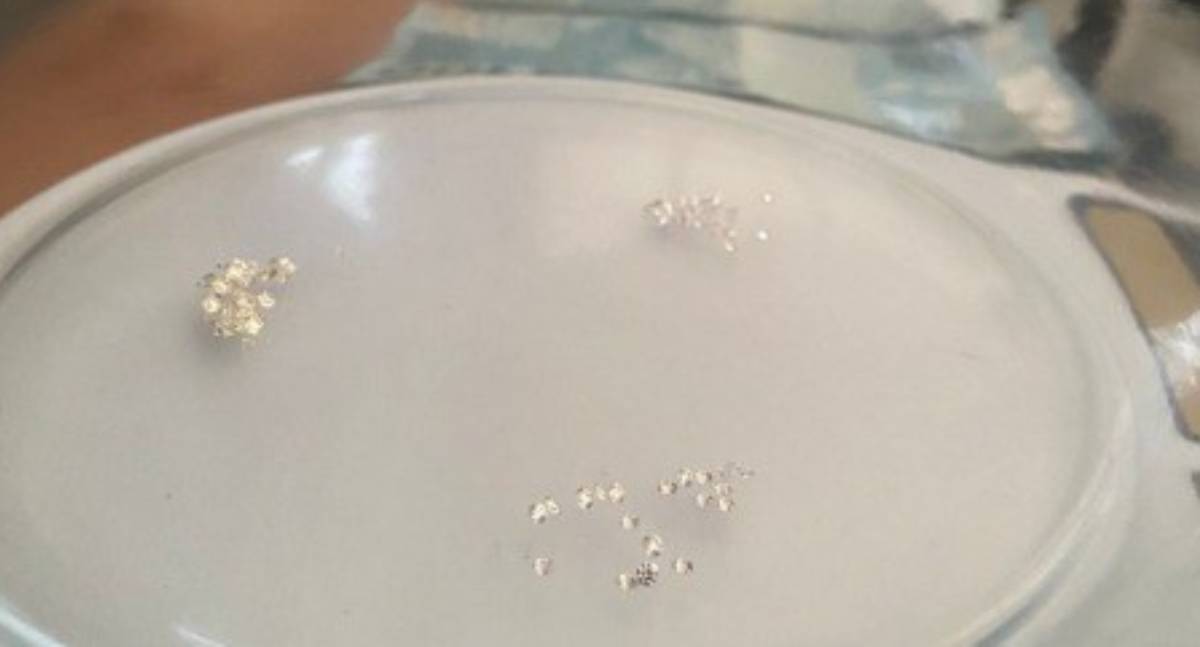 PRF em Rondônia apreende mais de 70 diamantes e milhares de reais na capital do estado