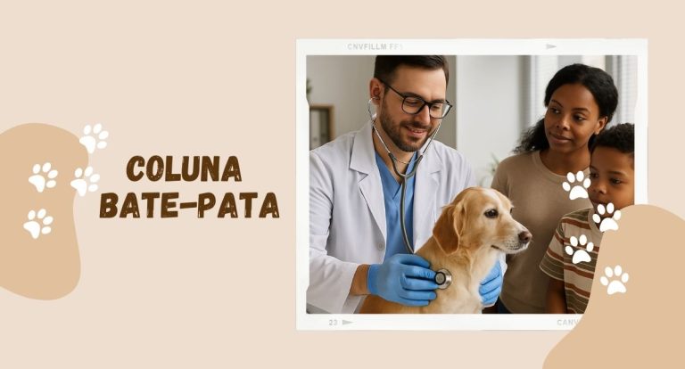 A importância do médico veterinário na saúde humana é animal - News Rondônia