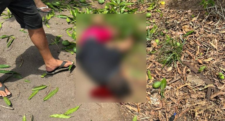 Queda de pé de manga deixa homem em estado grave em Porto Velho