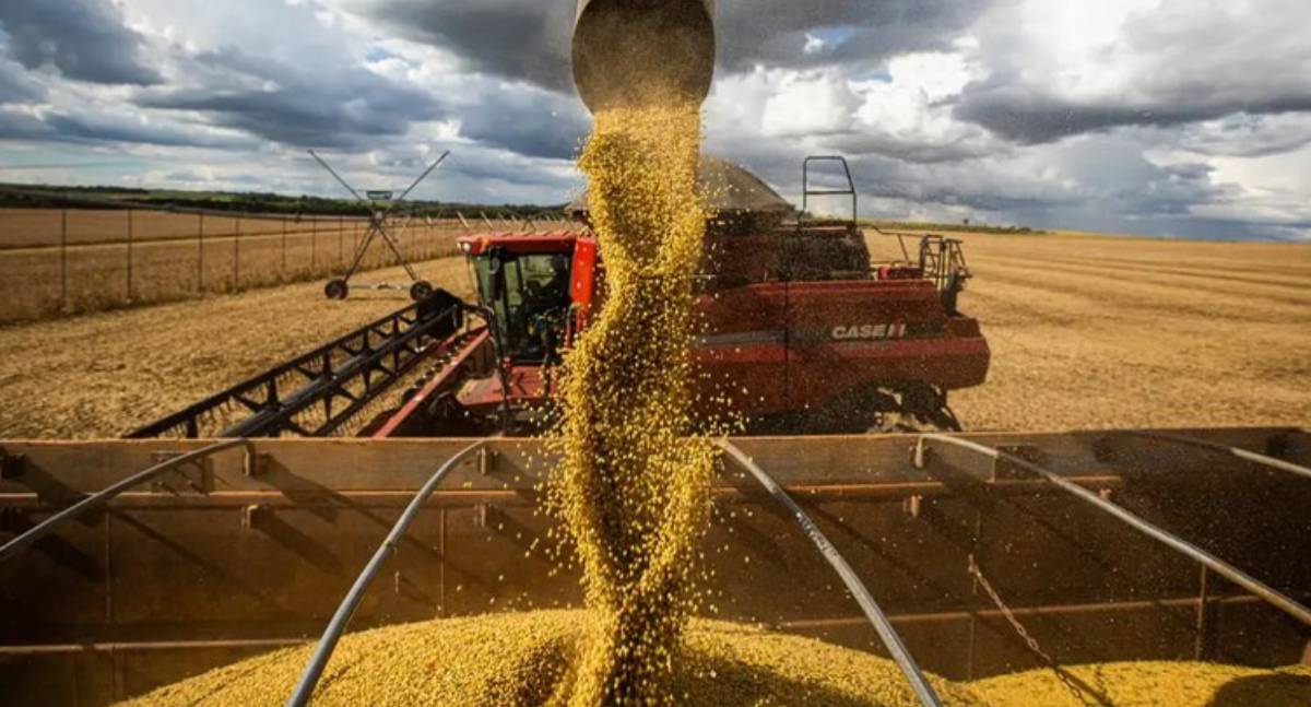 Rondônia atinge produção recorde de grãos