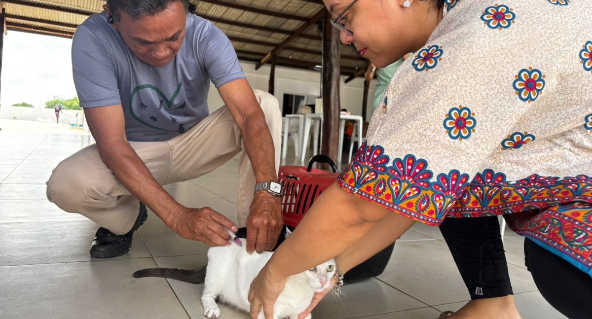 Sistema on-line agiliza vacinação de cães e gatos em Porto Velho