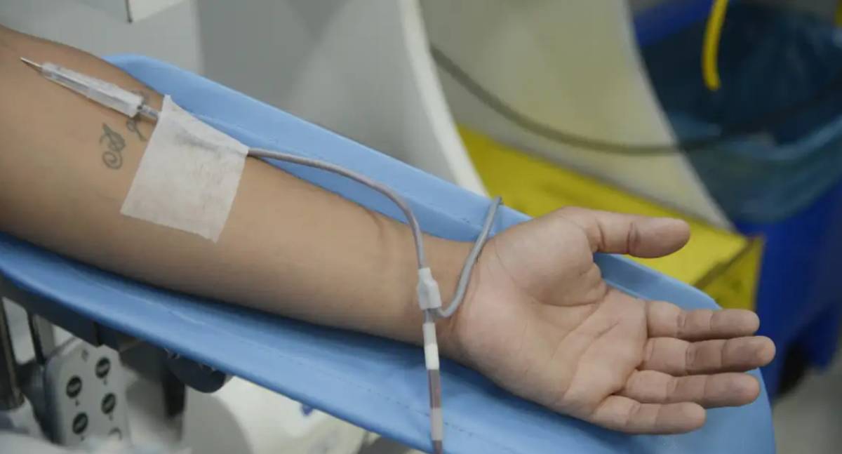 SUS precisa de mais centros de infusão, alerta SBR