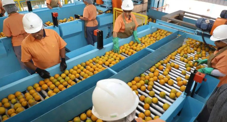 Tarifaço de Trump afeta exportações do Brasil