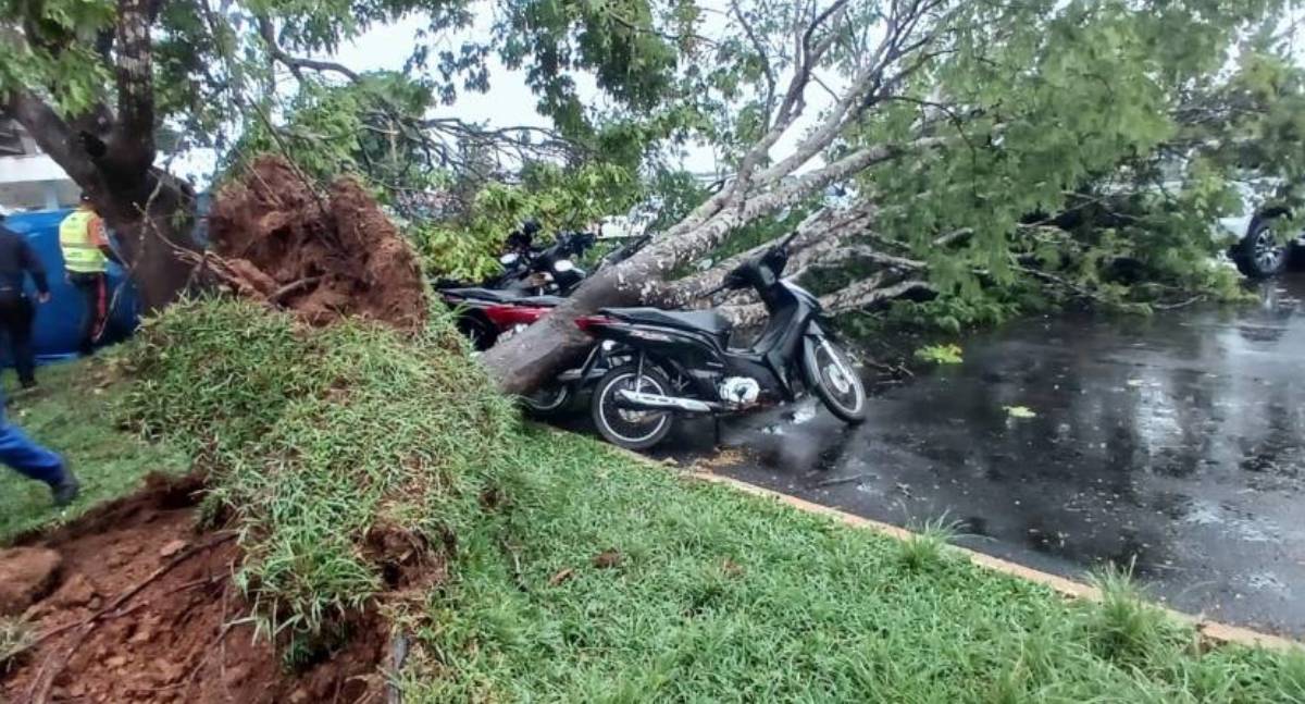 Vendaval causa destruições e desvia voo da Azul em Rondônia