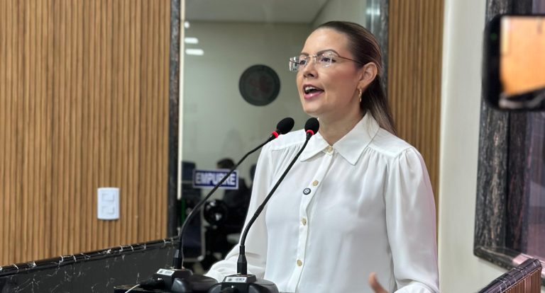 Vereadora Sofia Andrade tem projeto contra poluição visual aprovado na Câmara de Porto Velho