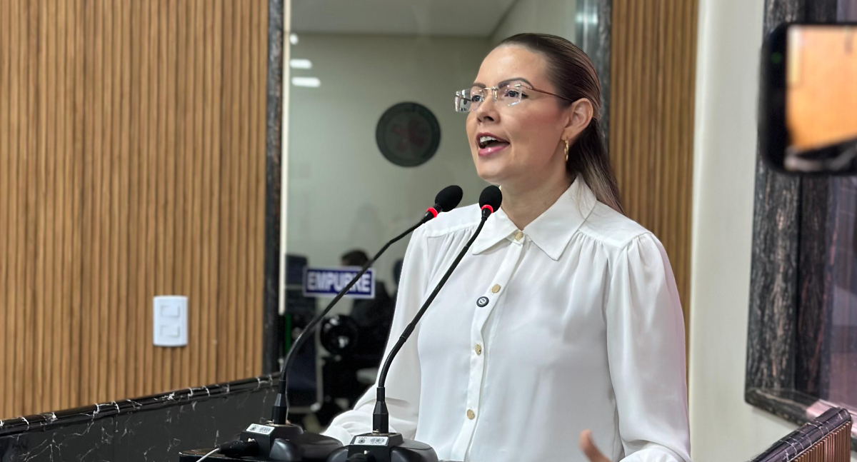 Vereadora Sofia Andrade tem projeto contra poluição visual aprovado na Câmara de Porto Velho